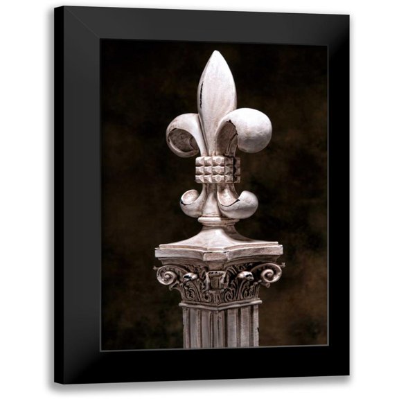 McNemar, C. Thomas 11x14 Black Modern Framed Museum Art Print Titled - Fleur de Lis VI
