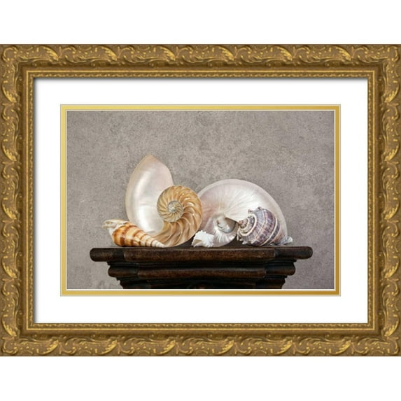 McNemar, C. Thomas 18x13 Gold Ornate Wood Framed with Double Matting Museum Art Print Titled - Seashell Still Life I