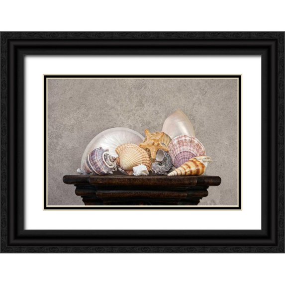 McNemar, C. Thomas 24x17 Black Ornate Wood Framed with Double Matting Museum Art Print Titled - Seashell Still Life II