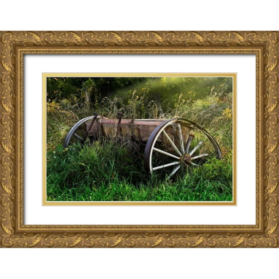 McNemar, C. Thomas 24x17 Gold Ornate Wood Framed with Double Matting Museum Art Print Titled - Abandoned Farm Equipment