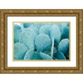 thumbnail image 1 of McRoberts, Julien 14x11 Gold Ornate Wood Framed with Double Matting Museum Art Print Titled - Desert cactus-Carefree-Arizona, 1 of 4