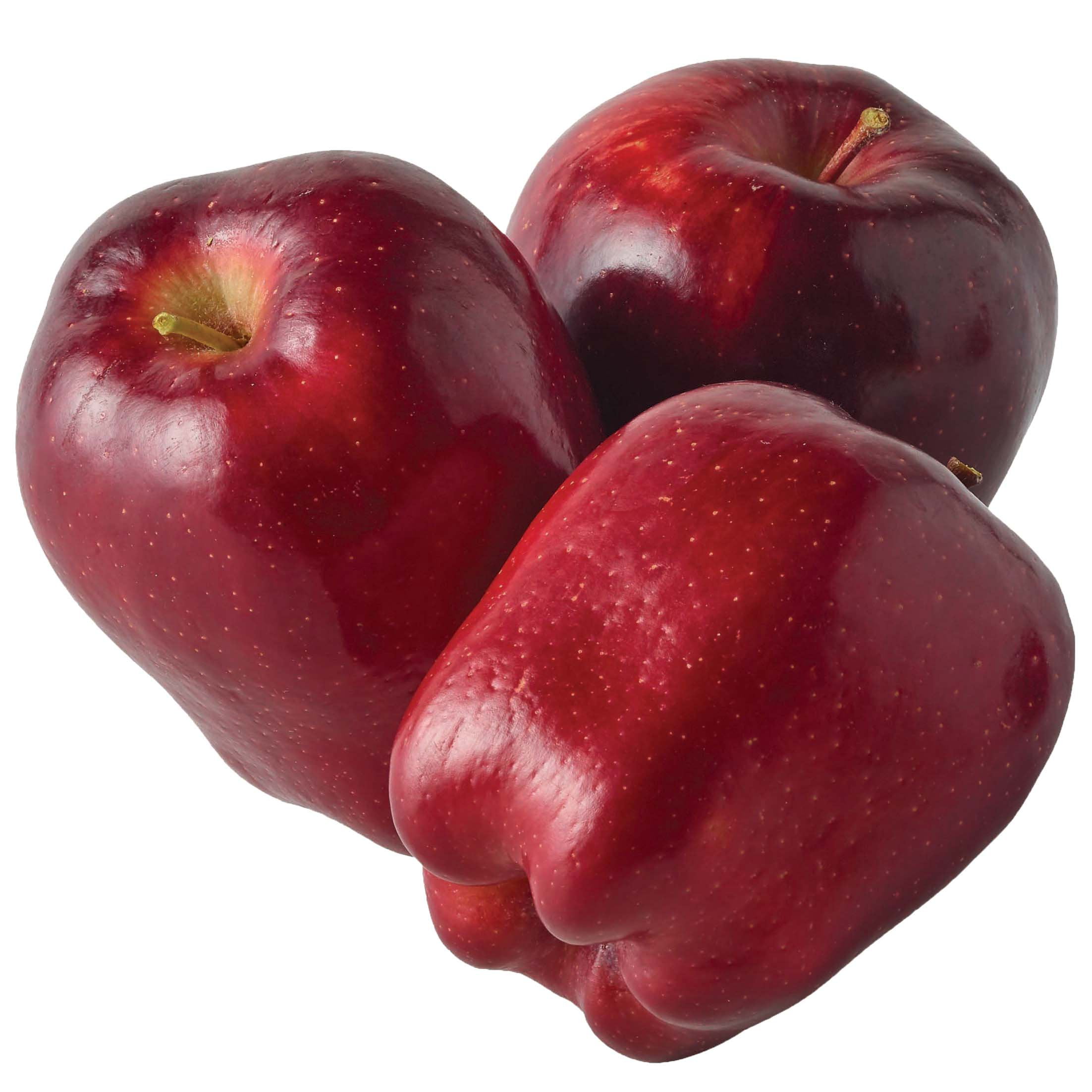 Mcintosh Fresh Apples, 5 lb Bag