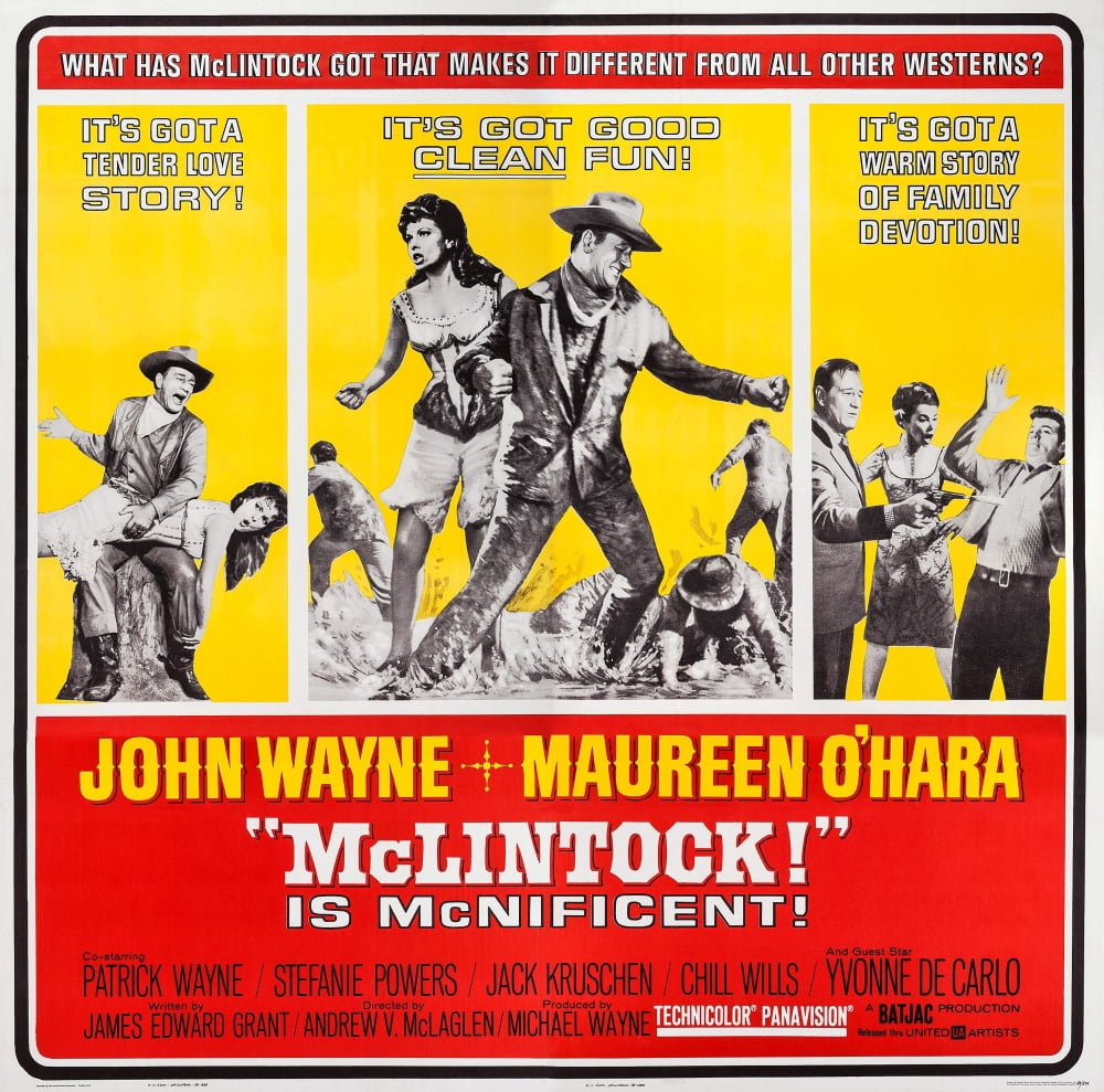 Mclintock U Canvas Art - (28 x 22)