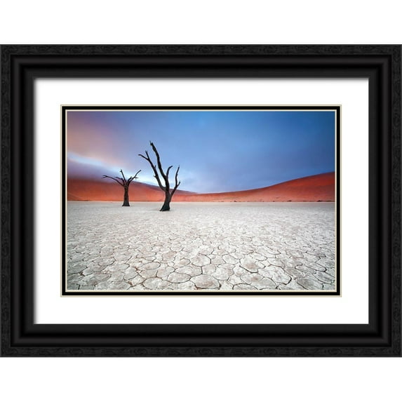 Mcrae, Ben 18x13 Black Ornate Wood Framed with Double Matting Museum Art Print Titled - Mist Over Deadvlei