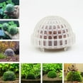 thumbnail image 1 of Mdesiwst Marimo Moss Ball Filter Live Aquarium Aquatic Plants Fish Shrimp Tank Pet Decor, 1 of 8