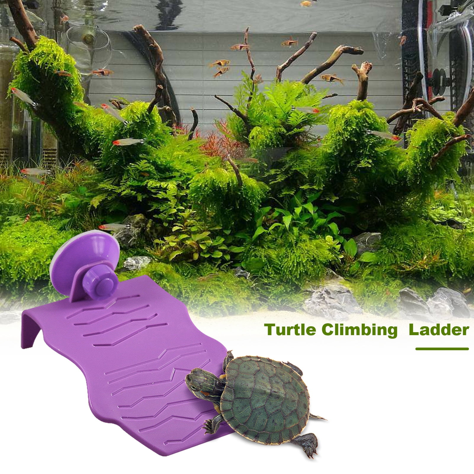 Mdesiwst Turtle Terrace Large Basking Platform Fish Tank Aquarium ...