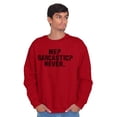 thumbnail image 1 of Me Sarcastic Never Humorous Attitude Sweatshirt for Men or Women Brisco Brands 2X, 1 of 6