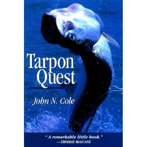 Pre-Owned Me and Dimaggio: A Baseball Fan Goes in Search of His Gods (Paperback) 1558216235 9781558216235