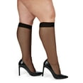 thumbnail image 1 of MeMoi Silky Sheer Plus Size Curvy Knee High Stockings 2 Pack - Mens - Male, 1 of 10