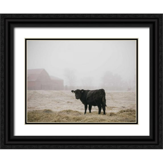 Mead, Adam 14x12 Black Ornate Wood Framed with Double Matting Museum Art Print Titled - Farm Study II