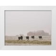 thumbnail image 1 of Mead, Adam 18x15 White Modern Wood Framed Museum Art Print Titled - Farm Study IV, 1 of 4