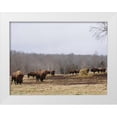 thumbnail image 1 of Mead, Adam 18x15 White Modern Wood Framed Museum Art Print Titled - Farm Study VI, 1 of 4