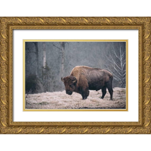 Mead, Adam 24x17 Gold Ornate Wood Framed with Double Matting Museum Art Print Titled - Solitary Bison II