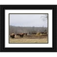thumbnail image 1 of Mead, Adam 32x25 Black Ornate Wood Framed with Double Matting Museum Art Print Titled - Farm Study VI, 1 of 4