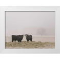 thumbnail image 1 of Mead, Adam 32x25 White Modern Wood Framed Museum Art Print Titled - Farm Study V, 1 of 4