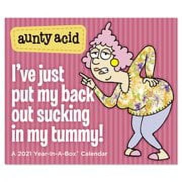 Mead Aunty Acid Wall Calendar