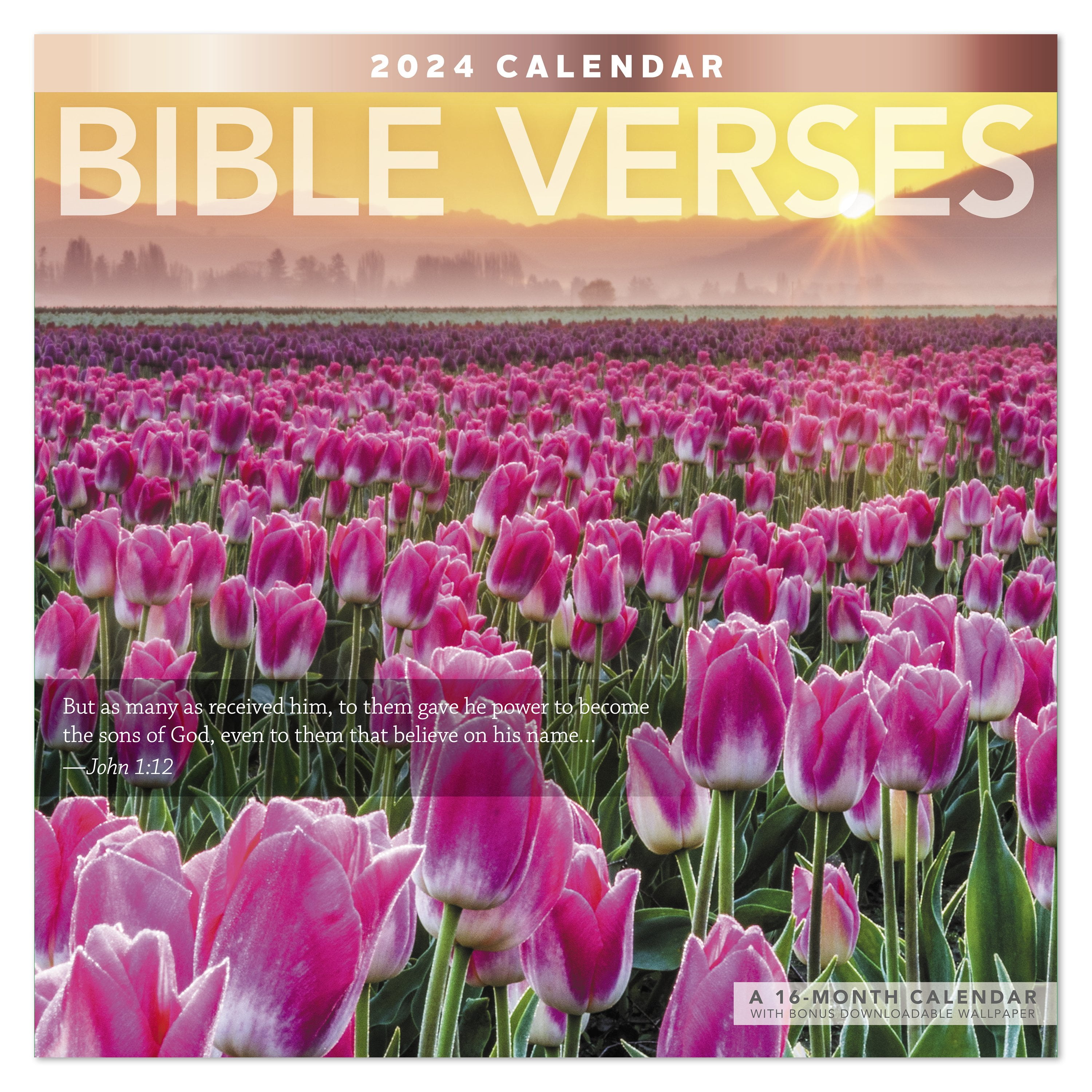 Mead Bible Verses Wall Calendar