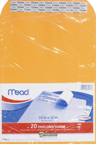 Mead Press-It Seal-It Envelopes, 10in X 13in, 20 Ct