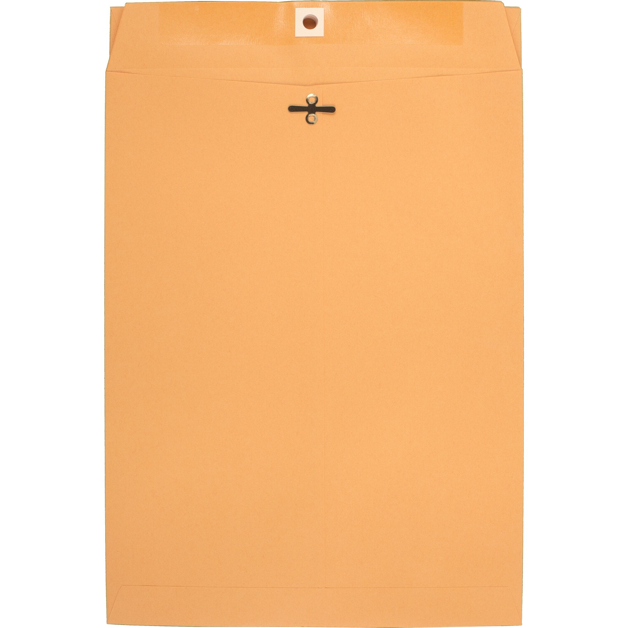 Mead Clasp Envelopes Office Pak 9 x 12 Brown Kraft 20 Count - Envelopes