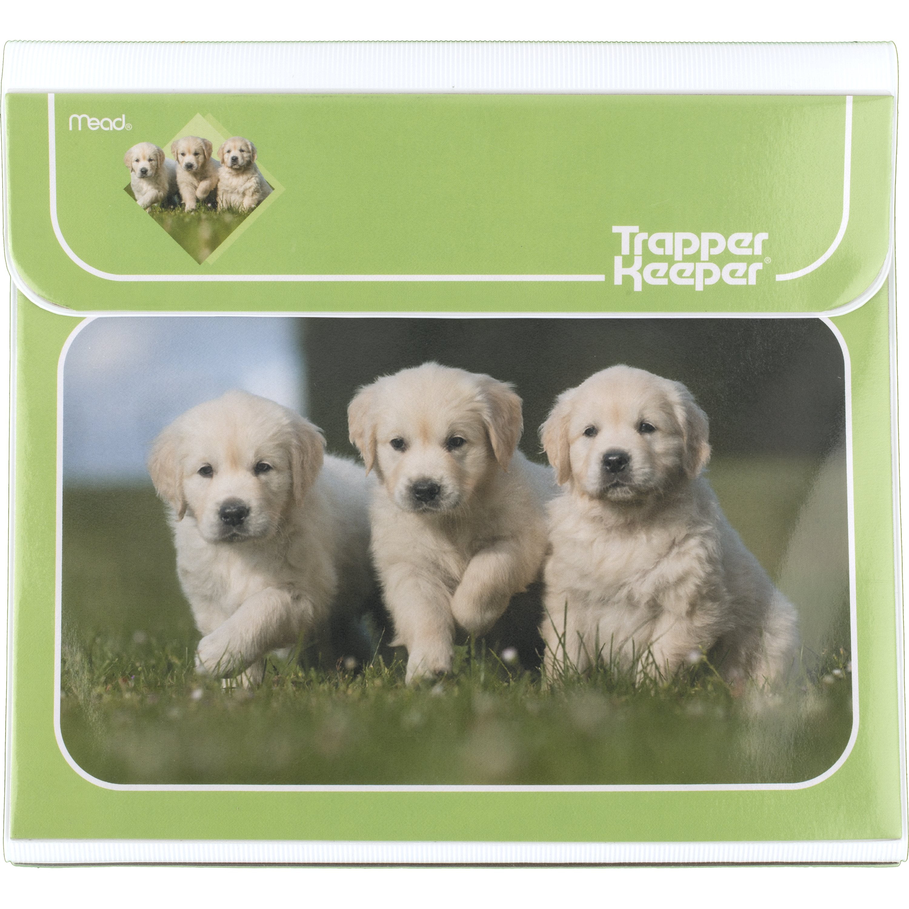 Cat trapper keeper 2025