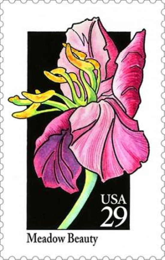 Meadow Beauty Canvas Art - US POSTAL SERVICE (12 x 18)
