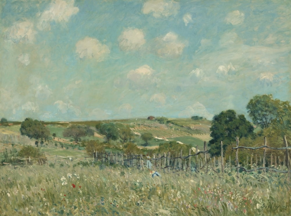 Meadow Canvas Art - (36 x 24)