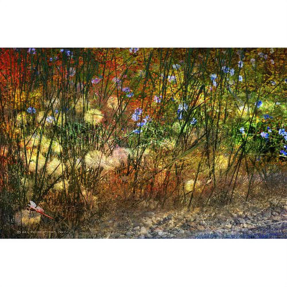 Marmont Hill 'Meadow Dragon Fly' by Chris Vest Painting Print on Wrapped Canvas