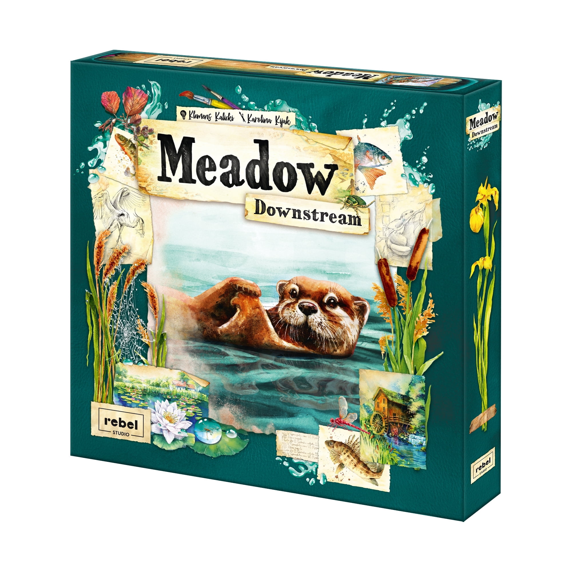 Meadow Family Board Game: Downstream Expansion for Ages 10 +, from Asmodee