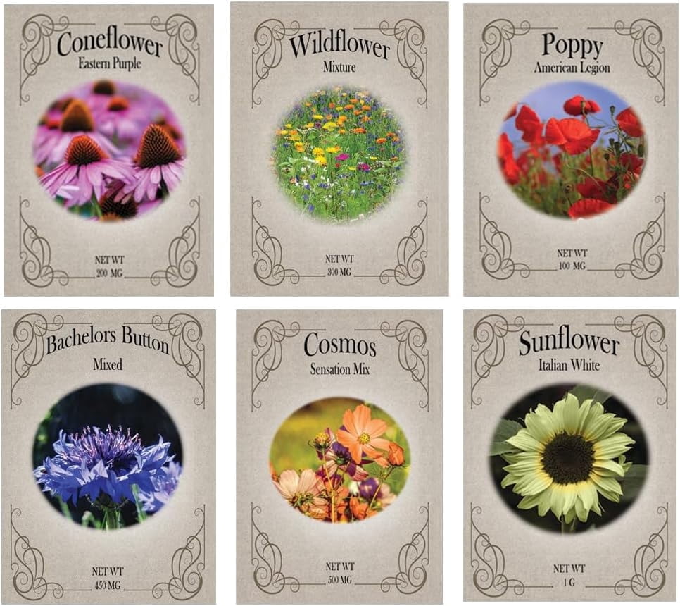 Meadow Flower Seed Variety Pack  12 Seed Packets | Coneflower, Wildflower  Mix, Poppy, Cosmos, Bachelor Button & Sunflower | Pollinator-Friendly ...