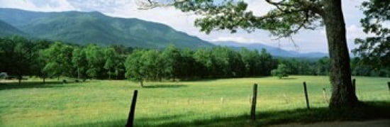 Meadow Surrounded By Barbed Wire Fence Cades Cove Great Smoky Mountains National Park Tennessee USA Canvas Art - Panoramic Images (36 x 12)