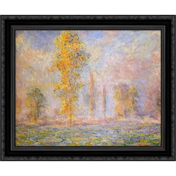 Meadow at Giverny 24x20 Black Ornate Wood Framed Canvas Art by Monet, Claude