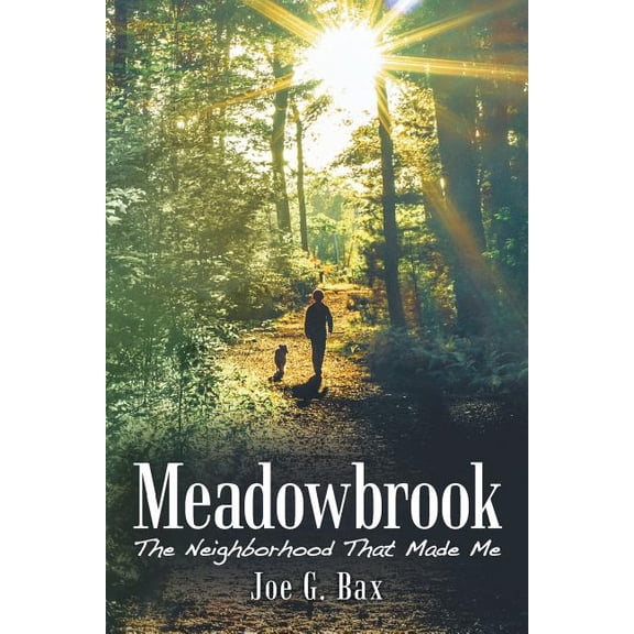 Meadowbrook: The Neighborhood That Made Me (Paperback)