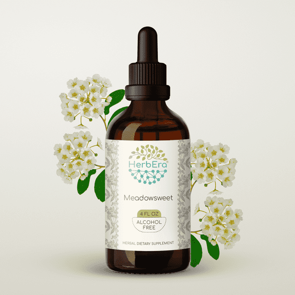 HerbEra Meadowsweet Tincture, Herbal Dietary Supplement for Digestive Support, Meadowsweet (Filipendula ulmaria) Dried Herb Extract, Natural, Alcohol-Free, Drops 4 oz