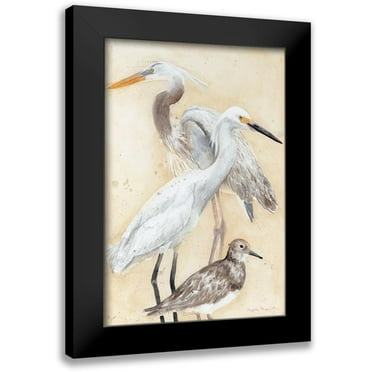 Meagher, Megan 11x14 Black Modern Framed Museum Art Print Titled - Watercolor Waterbirds II