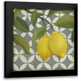 thumbnail image 1 of Meagher, Megan 12x12 Black Modern Framed Museum Art Print Titled - Fruit and Pattern I, 1 of 5