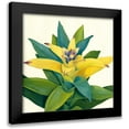 thumbnail image 1 of Meagher, Megan 12x12 Black Modern Framed Museum Art Print Titled - Tropical Bloom II, 1 of 5
