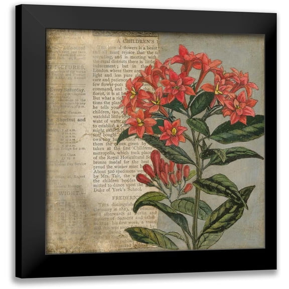 Meagher, Megan 12x12 Black Modern Framed Museum Art Print Titled - Vintage Fleur Rouge II