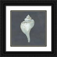 thumbnail image 1 of Meagher, Megan 12x12 Black Ornate Wood Framed with Double Matting Museum Art Print Titled - Shell on Slate IV, 1 of 4