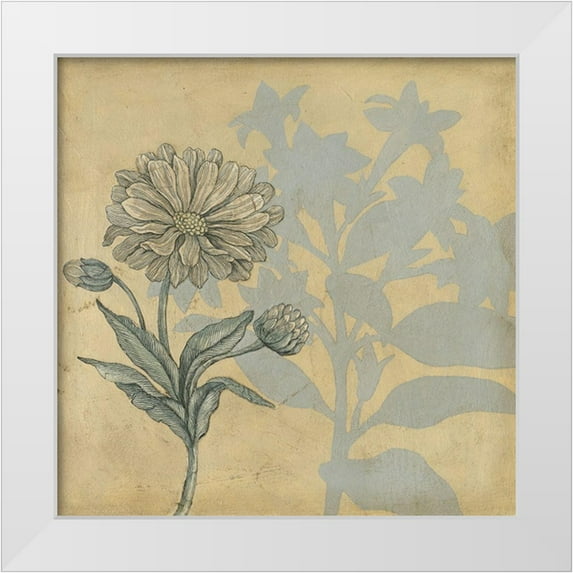 Meagher, Megan 12x12 White Modern Wood Framed Museum Art Print Titled - Shadow Floral III
