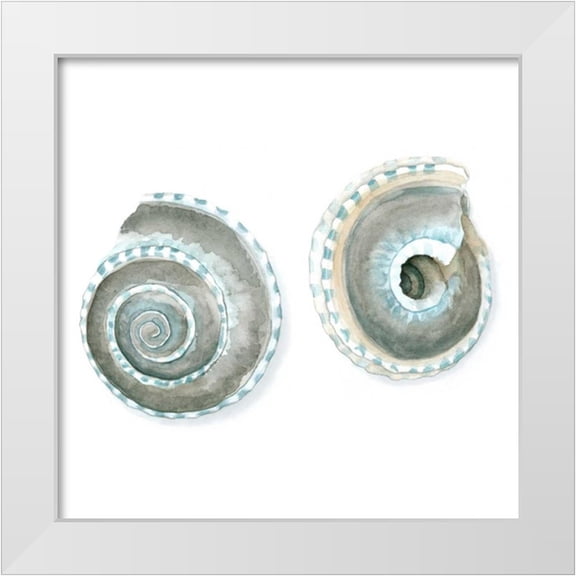 Meagher, Megan 12x12 White Modern Wood Framed Museum Art Print Titled - Watercolor Shells IV
