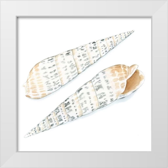 Meagher, Megan 12x12 White Modern Wood Framed Museum Art Print Titled - Watercolor Shells IX