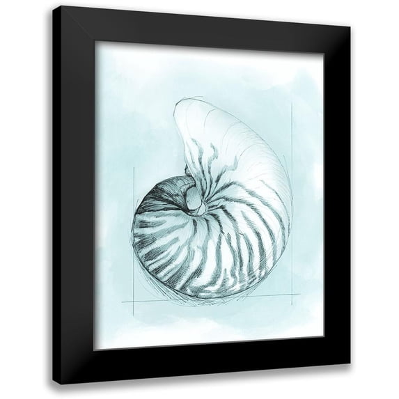 Meagher, Megan 12x14 Black Modern Framed Museum Art Print Titled - Coastal Shell Schematic II