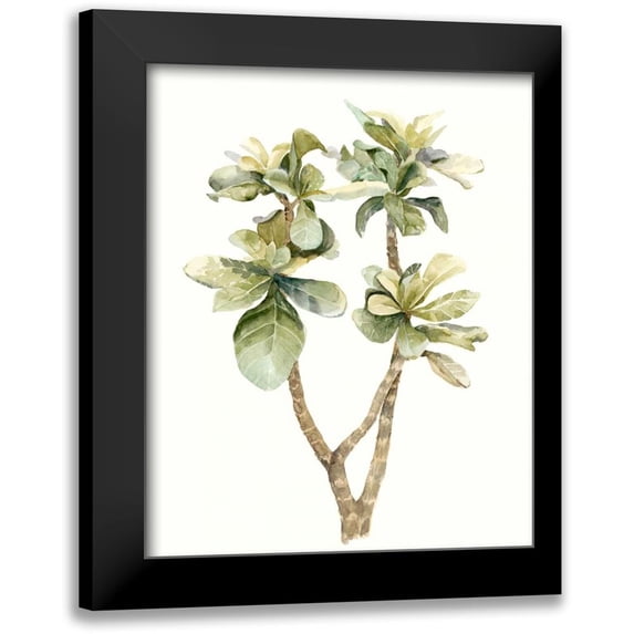 Meagher, Megan 12x14 Black Modern Framed Museum Art Print Titled - Tropical Watercolor Leaves III