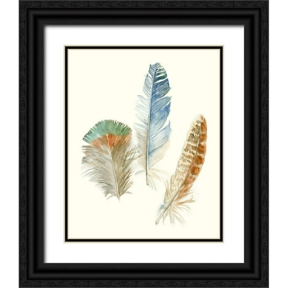 Meagher, Megan 12x14 Black Ornate Wood Framed with Double Matting Museum Art Print Titled - Watercolor Feathers III
