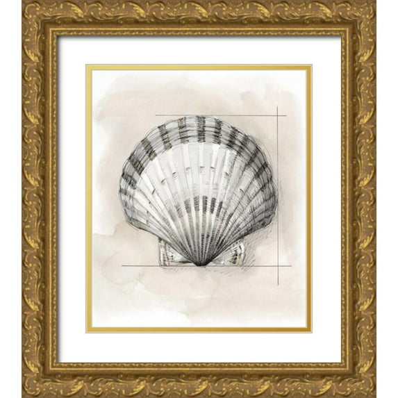 Meagher, Megan 12x14 Gold Ornate Wood Framed with Double Matting Museum Art Print Titled - Shell Schematic III