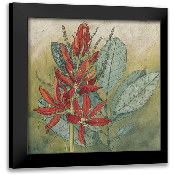 Meagher, Megan 15x15 Black Modern Framed Museum Art Print Titled - Crimson Tropical I