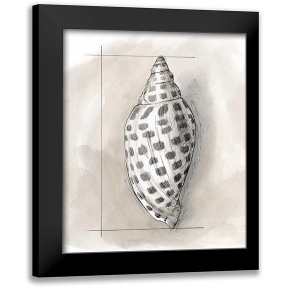 Meagher, Megan 15x17 Black Modern Framed Museum Art Print Titled - Shell Schematic IV