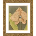 thumbnail image 1 of Meagher, Megan 19x24 Gold Ornate Wood Framed with Double Matting Museum Art Print Titled - Orchid and Earth IV, 1 of 4