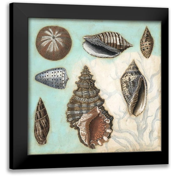 Meagher, Megan 20x20 Black Modern Framed Museum Art Print Titled - Antique Shell Collage I