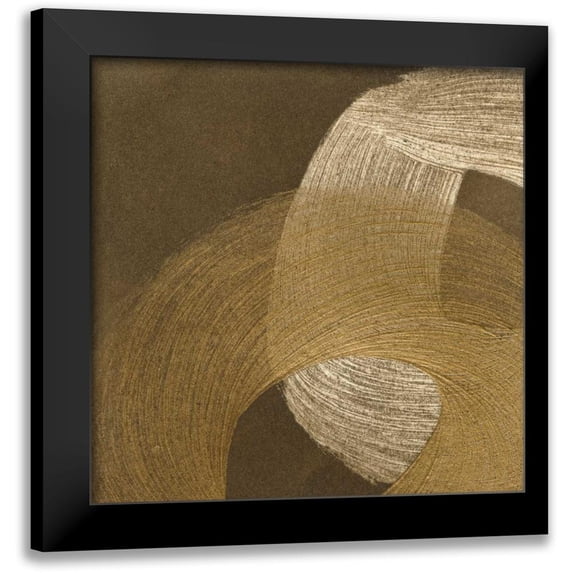 Meagher, Megan 20x20 Black Modern Framed Museum Art Print Titled - Revolution II